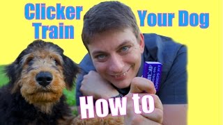 How to CLICKER TRAIN Your Dog The FASTEST WAY to Teach your Dog to be AWESOME [upl. by Cristiano936]