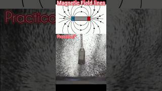 Magnetic Field lines Practical🔥physics shorts experiment [upl. by Aisayt]