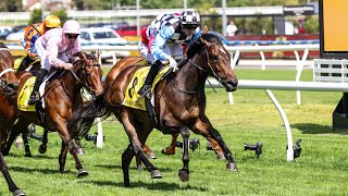 2024 Schweppes Thousand Guineas won by Another Prophet [upl. by Gunn]