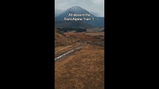 All aboard the TranzAlpine Train New Zealand 🚆 [upl. by Hanshaw]