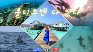 몰디브신혼여행vlog🏝⎮건기 몰디브는 천국8일간의 신헌여행40세일오젠라이프마두Day5 [upl. by Naol]