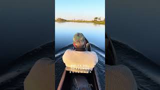 Así puede ser un día de Safari en el Delta del Okavango WE💚AFRICA LuxuryAfrica botsuana safari [upl. by Biamonte804]