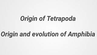 Origin of Tetrapoda Origin and evolution of Amphibia PGT MScBSc Chordata [upl. by Zelle461]