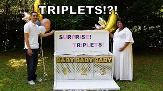 Gender Reveal Surprise Triplets [upl. by Ayk]