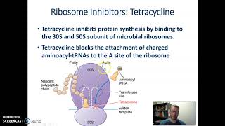 Tetracycline Mechanism of Action [upl. by Yerhpmuh410]