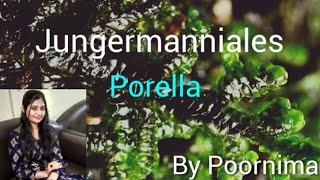 JungermannialesPorellaBy Poornima [upl. by Redienhcs]