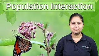 What is population interaction  The 6 Types of Relationships Between Organisms [upl. by Billi]