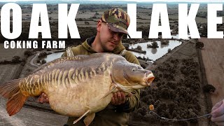 Coking Farm  BIG FISH  Hunt for a UK 40 [upl. by Adnovad]