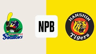 ヤクルトスワローズ vs 阪神タイガース 本日ライブ配信  Yakult swallows vs hanshin tigers Live Baseball match today NPB 2024 [upl. by Kaplan]