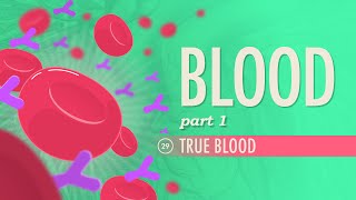 Blood Part 1  True Blood Crash Course Anatomy amp Physiology 29 [upl. by Etteval393]