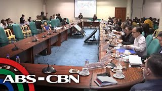 Senate budget briefing on the proposed 2024 National Expenditure Program of DENR MWSS and LWUA [upl. by Sanborne]