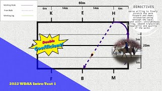 WDAA 2022 WESTERN DRESSAGE INTRODUCTORY LEVEL TEST 1 [upl. by Lennod]