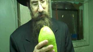 Buying a Lulav and Etrog for Sukkot [upl. by Drallim]