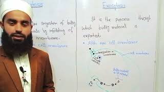 Whats the Difference Between Endocytosis and Exocytosis in Biology [upl. by Asirem]