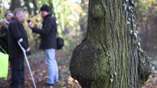 Besuch auf dem ehemaligen Friedhof der Wittenauer Heilstätten [upl. by Lyssa977]