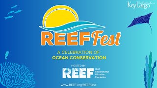 REEF Fest 2024 Seminars Dr Alli Candelmo and Stephen Frink [upl. by Nyret]