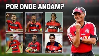 FLAMENGO CAMPEÃO DA COPA DO BRASIL DE 2013  Por onde Andam [upl. by Tloc864]