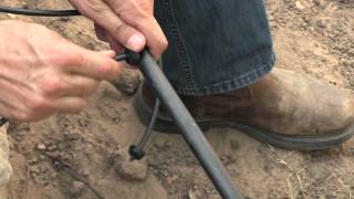 Drip Irrigation Tip  Emitter Placement [upl. by Niple255]