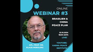 Der chinesischbrasilianische Friedensplan Realistischer Ausweg aus dem Krieg in der Ukraine [upl. by Harcourt]