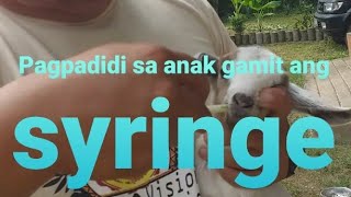 Diskarte sa ayaw dumidi o ayaw mgpadidi na kambing [upl. by Anilave699]