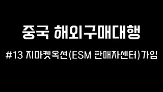 온라인 부업 투잡에 관심있고 간절하신 분만 봐주세요 중국 해외 구매대행 13 지마켓 옥션 esm판매자센터 가입 [upl. by Eelimaj]