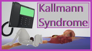 Kallmann Syndrome Mnemonic for the USMLE [upl. by Noived]