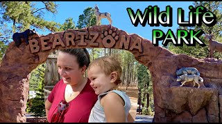 BEARIZONA Zoo amp Drive thru Wild Life Park  Williams Arizona [upl. by Didier747]