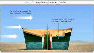 How does the Groasis Waterboxx plant cocoon work against desertification [upl. by Aihcsrop]