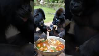 Orangutans eat hot pot [upl. by Kubiak]