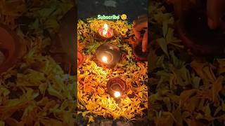 తామర వత్తులతో దీపం పెట్టారా frnds karthikapournami lotus deepam lotusdiya viralvideo lotus yt [upl. by Goeselt]