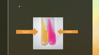 Biochemical tests  catalase Urease Oxidase Biochemicaltests [upl. by Arianie]