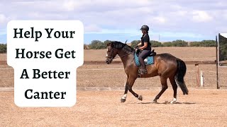 Training A Horse To Get A Better Canter [upl. by Stelu]