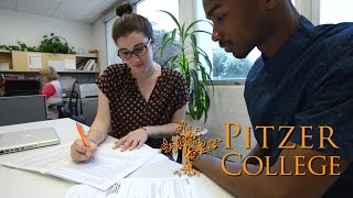 Career Services  Pitzer College [upl. by Neelyar]