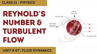 Reynolds Number and Turbulent Flow Unit 7 Fluid Dynamics Class 11 Physics [upl. by Rodmun]