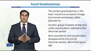 Fossil Gnathostomes  Biodiversity amp EvolutionII  BT201Topic056 [upl. by Sprague216]