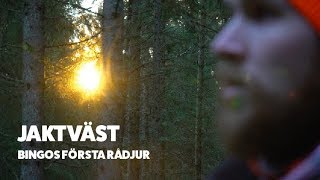 JAKTVÄST  Rådjursjakt med drivande hund 2019 HD [upl. by Aitel]