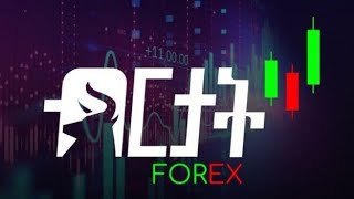 birtat forex  part 1 intermediate course [upl. by Bremser]