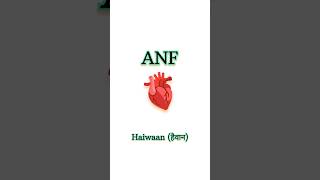 ANF Atrial natriuretic factor in 25 seconds ।। neet neet2025 botany biology aiims [upl. by Kylah934]