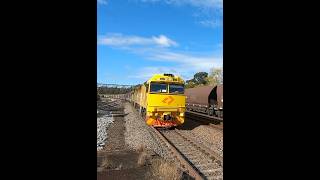 East Maitland Coal Train after Coal Train trains coaltrain [upl. by Adnylem]