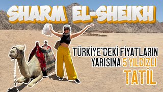 Türkiyenin yarı fiyatına 5 yıldızlı tatil  SHARM EL SHEIKH [upl. by Stralka]