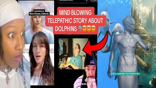 DOLPHINS TELEPATHICALLY TALK TO HUMANS STORIES [upl. by Ringe]