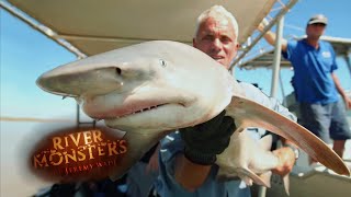 INCREDIBLY Rare Glyphis Shark Catch  SHARK  River Monsters [upl. by Mauri908]