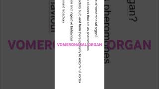 VOMERONASAL ORGAN nose [upl. by Yngiram]