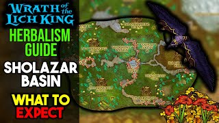 Herbalism Guide Sholazar Basin  Wrath Classic WOTLK [upl. by Ilyssa]