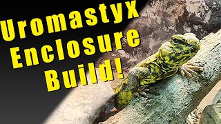 Building my uromastyx a new enclosure [upl. by Nivac]