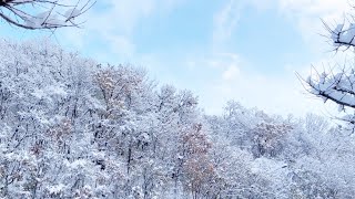 ASMR  생활소음 ASMR 🌊모아나2 개봉일에 웬 ❄️겨울왕국 🌨2024년 11월 ⚠️ 폭설주의 asmr winter snow 눈첫눈 겨울 폭설 대설 모아나 [upl. by Dibbell]