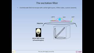 How to evaluate imaging efficiency and risk for bleedthrough Part 1 Basic microscopy [upl. by Milak617]