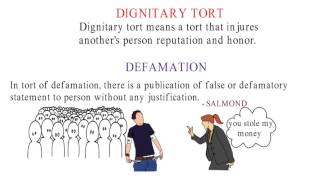 law of torts  Types of tort [upl. by Enined]