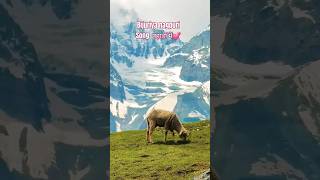 Bijuriya Nagpuri Songs🥰💕 Mountains nagpuri nagpurisong trendingnagpurisong shortsfeed [upl. by Raybin]