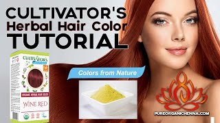 CULTIVATORS ORGANIC HERBAL HAIR COLOR TUTORIAL [upl. by Ybur461]